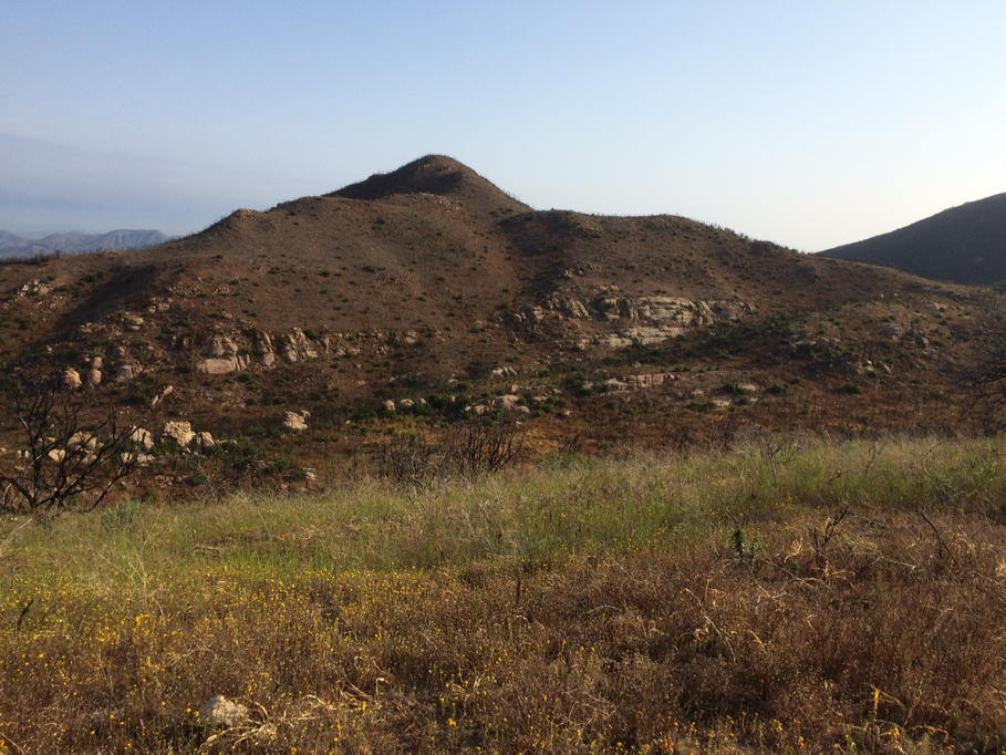 bunnyfoot1's tweet photo. #springsfire04 http://t.co/jptwuDeyQS