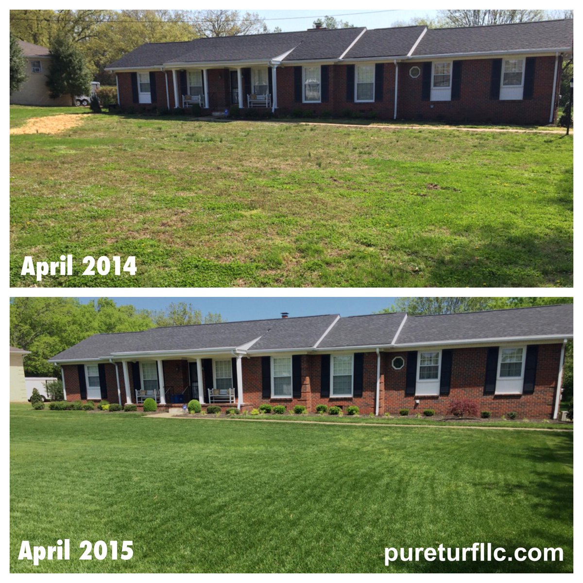 PureTurf's tweet photo. Beautiful day today in Nashville. Here’s another lawn makeover. #Holganix #pureseed http://t.co/rakweby9YC