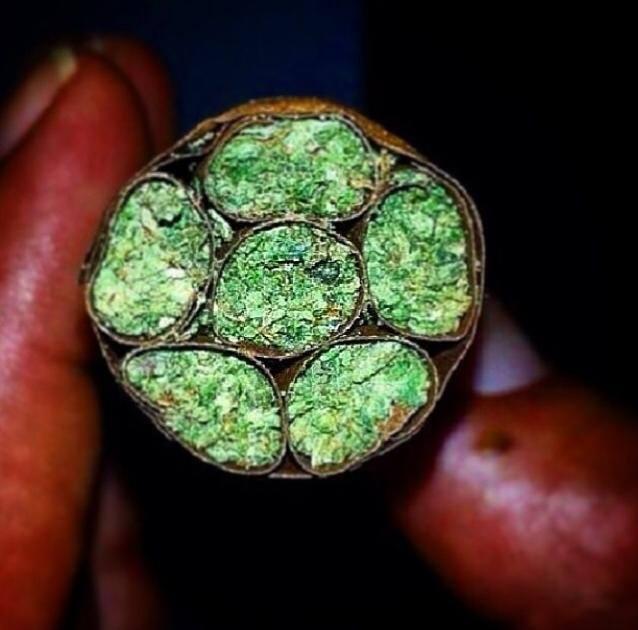 _Truffle_Report's tweet photo. Rt if you wanna smoke this 6 barrel blunt. http://t.co/kaMu2peKLI