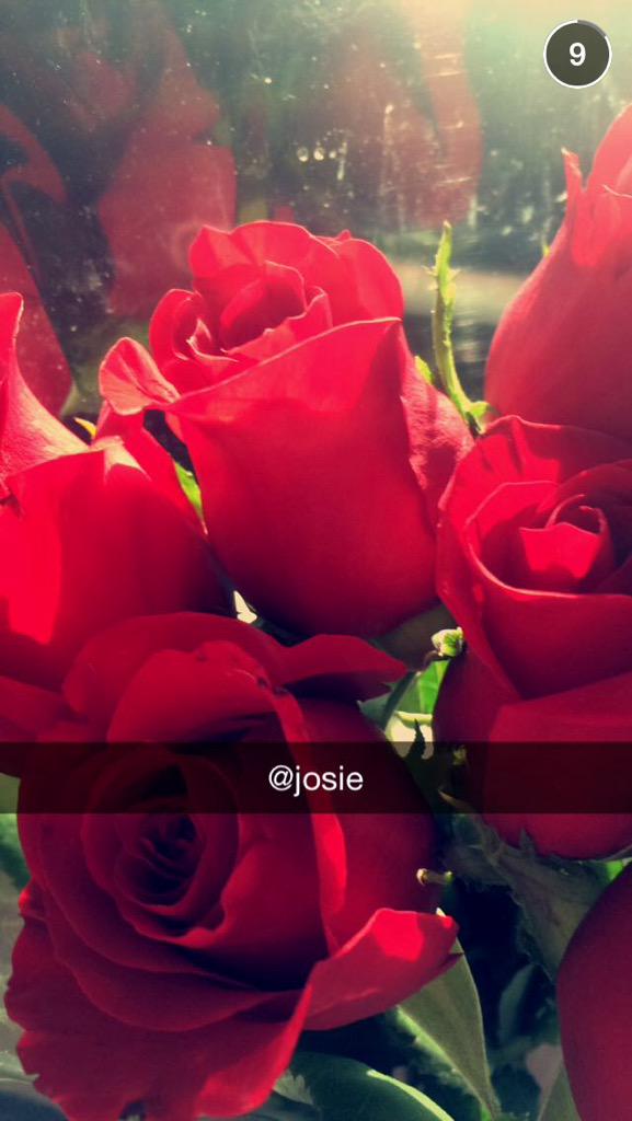 joseapoop's tweet photo. Sadies¿?💋🌹 http://t.co/ioTARTZMp1