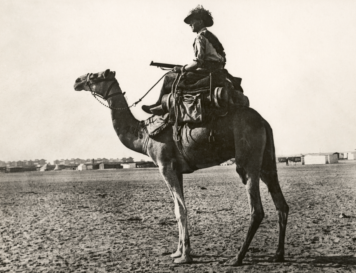 Camels were used in 1st World War. Imperial Camel Corps formed in January 1916.#ANZAC #AnzacDay