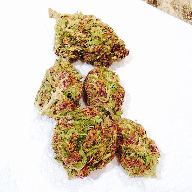 WEEDOFIG's tweet photo. Major Purple🚀🚀🚀 #wfayo #weedlife #WeedOfIG #weedstayhiigh #weshouldsmoke #topshelflife #iwillmarrymary #pot #pothea… http://t.co/IlHJxLqzZJ