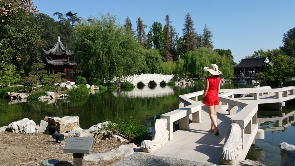 bambitrish's tweet image. I walk around like everything is fine but deep inside my heart...I'm craving for peace &amp;amp; loyalty 🌹🌹