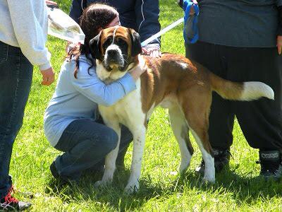 NorwesterReaders tweet media