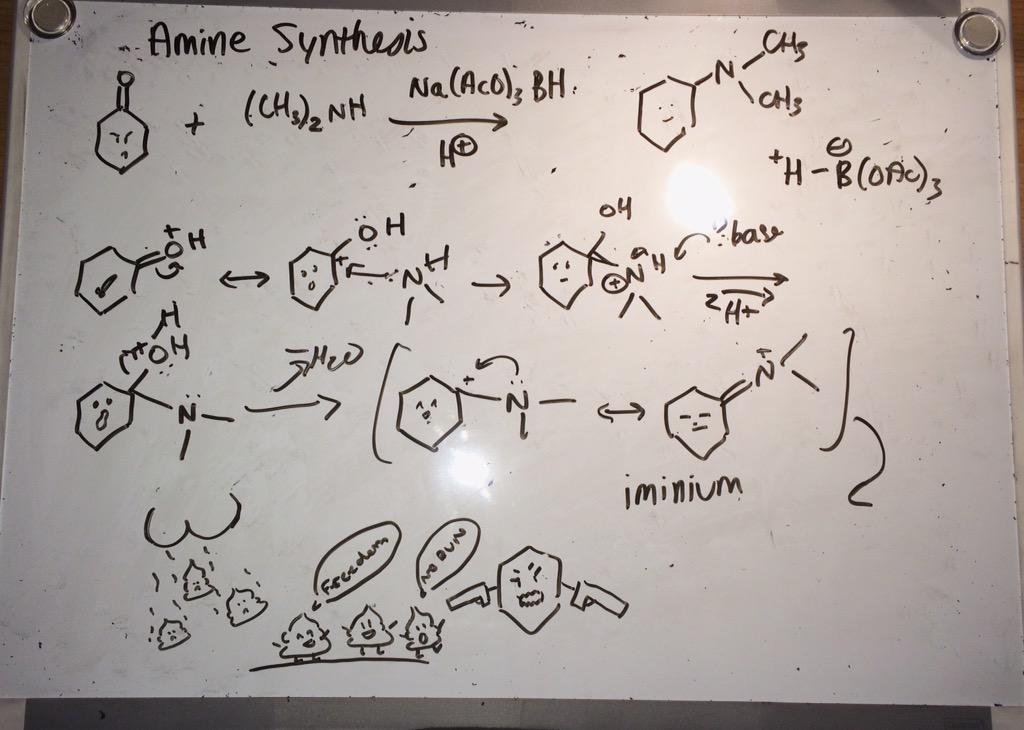 haphamo's tweet photo. Took a break from studying and returned to find out that sister had been in my room #orgochemistry http://t.co/yUMwBfcsDz