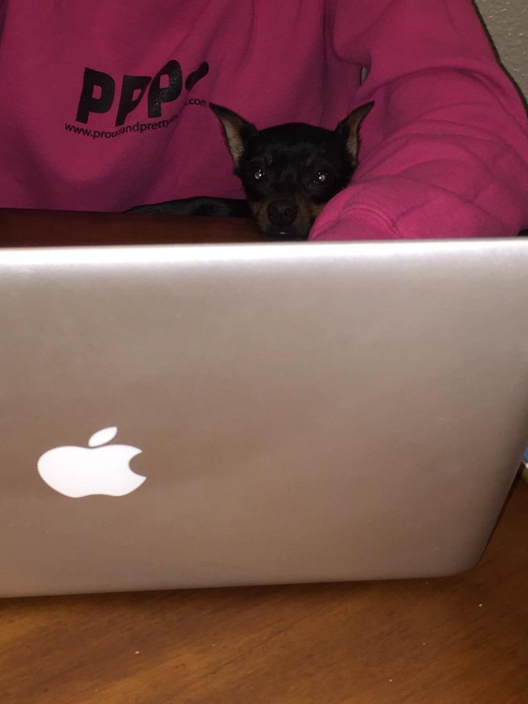 Chandra Mogan tweet media