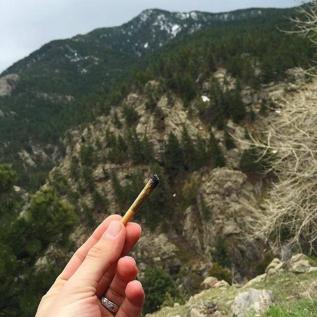 WEEDOFIG's tweet image. 10,000 ft spliff 🗻🗻🗻 with @mrshemphogg  #hemphogg #dpfm #dabeasy #hrbn_life #dabbersdaily #highsociety #ffourtwenty…