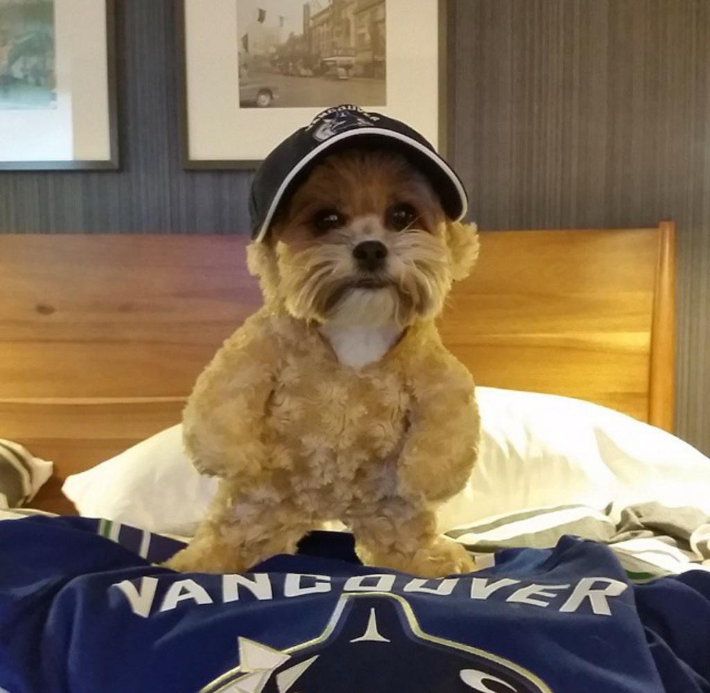 derekkai's tweet photo. #ScotiaHockey Go Canucks!!  Canucks in 7! Section 308 row 10 seat 6 http://t.co/98KxmDWUur