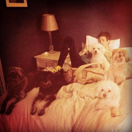 RyanRoss3rd's tweet photo. Me:They really like you. 
Brendon:What the hell?!?! He's like the dog whisperer?!?! @_Brendon_Urie_ @Salem_Ross http://t.co/K6Z25oN6vc