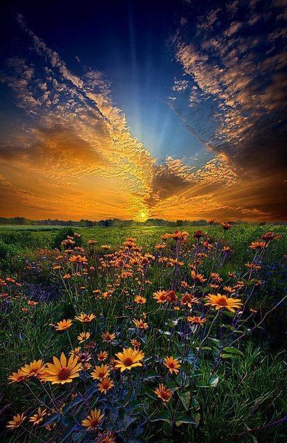 انت عمري ... اللي ابتدا بنورك صباحه💘