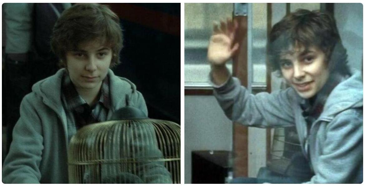   PotterWorldUK: Happy 19th Birthday, Will Dunn (WillDunn_)! He played James Sirius Potter in Deat 