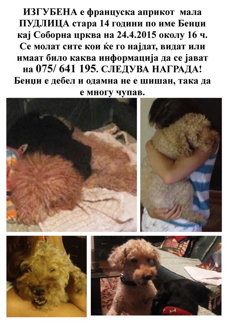 peki_strudla's tweet photo. Mi snema 15 godini od zivotot ako nemoj gi vidi nek mi javi ve molam http://t.co/p9gdN2ohUs