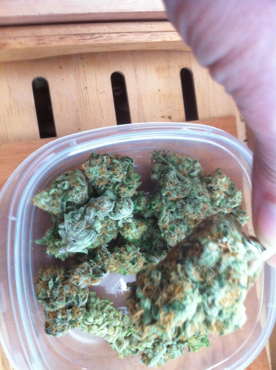 ChefEric75's tweet photo. needed seed dispensary located in Denver, CO. ! acre of land : need workers....10% yield percentage ownership> http://t.co/48jvnEJfOr