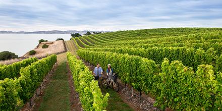 It's World #SauvBlanc Day. Share a pic of your Marlborough moment with #NZMustDo. goo.gl/HCXXfm