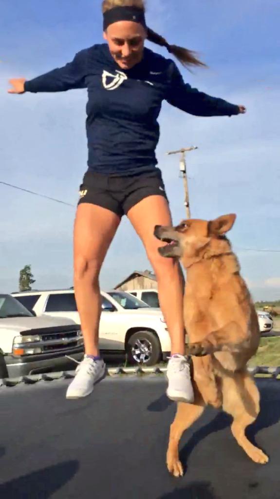 marniekavern's tweet photo. Still laughing about this๐๐ #whendogsattack #trampolineaddition http://t.co/vMlAgj0t1q