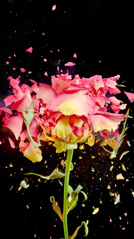 HarvardBiz's tweet photo. Emotional intelligence can play a critical role in helping people get through tough situations http://t.co/VxXLc0bfI2 http://t.co/E6zI5tzJcp
