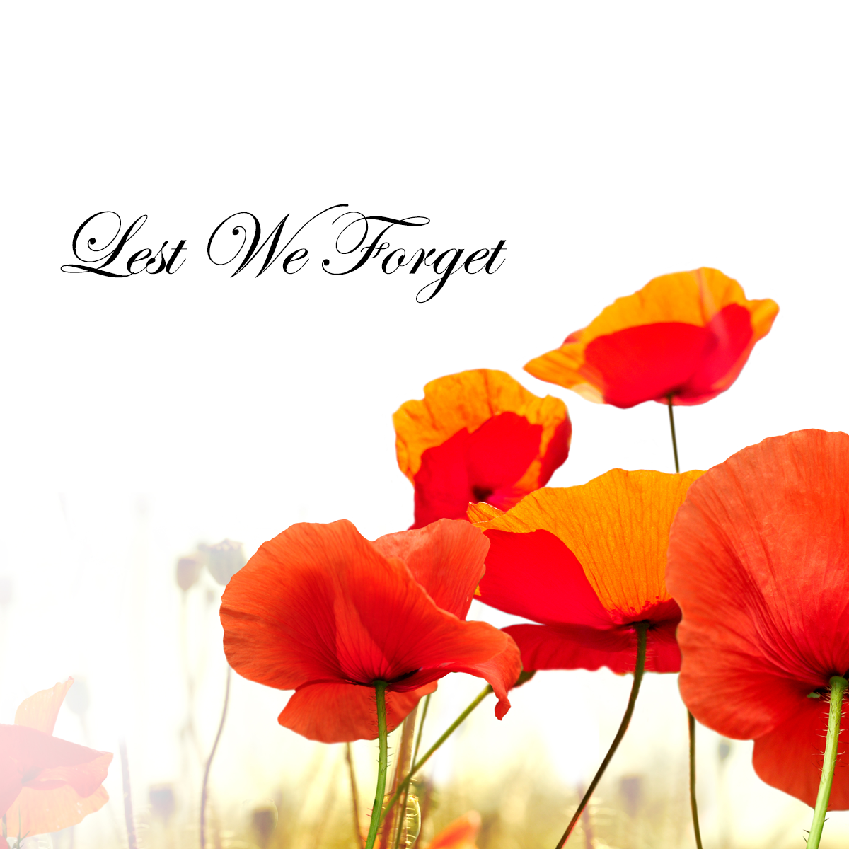 25.04.2015 | Lest We Forget