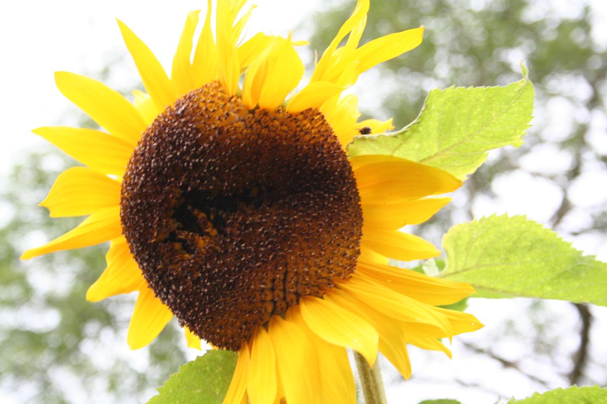 Bore da, good morning <a href="/BNIIntrepid/">BNI Intrepid</a> then <a href="/gampfaiechydda/">mered pryce</a> and a fun-packed Friday <a href="/mrproducerltd/">MR PRODUCER</a> #enjoy #mwynhewch #RT