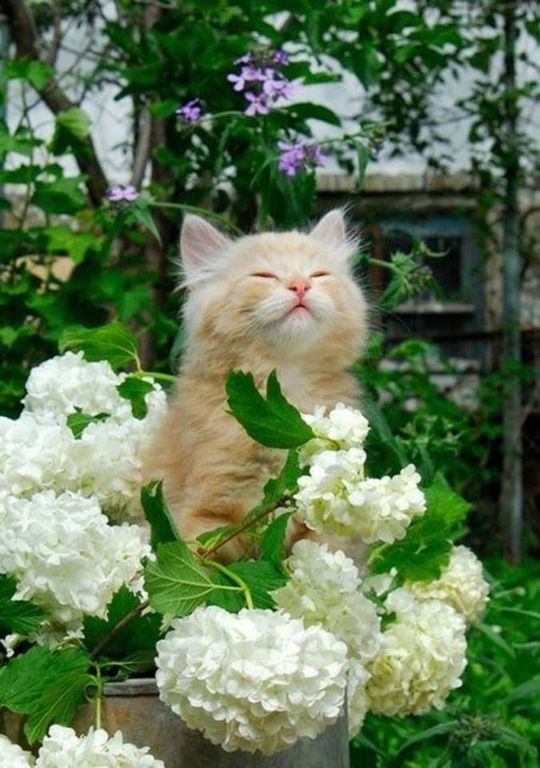 ShoppingvMilane's tweet photo. Доброе утро, страна!
#шоппинг #Италия #милан #переводчик #оптовыезакупки #выставки
+39 366 5310 412 http://t.co/KQ5r3ZvlwE