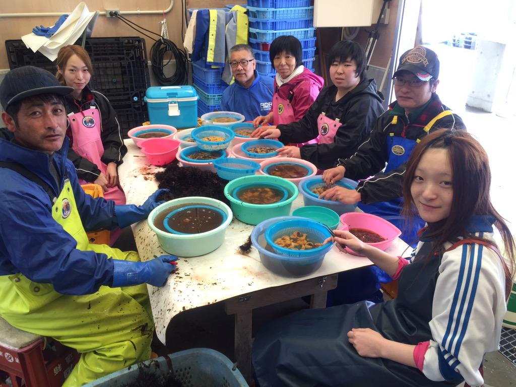 Fidr 岩手県大槌町 今年初めてのウニ漁解禁日 養殖業者さんは海底を箱メガネで覗き タモでウニを引き揚げます 今朝は吉里吉里漁港で出荷作業を行う堀合さん一家にお邪魔しました ご家族で一緒に 殻を割り 中身を取り出し 身とワタを洗っていました