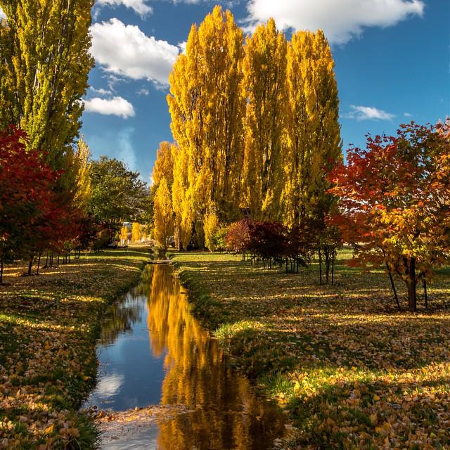 The vibrant colours of autumn at <a href="/Redlandsestate/">Redlands Estate</a> in <a href="/tasmania/">Discover Tasmania</a>'s Derwent Valley (via IG / Abel_photography_tas)