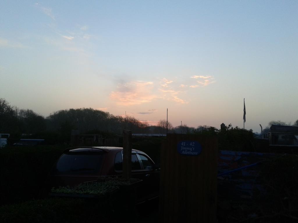 OnRootToYew's tweet image. Sunrise at my allotment