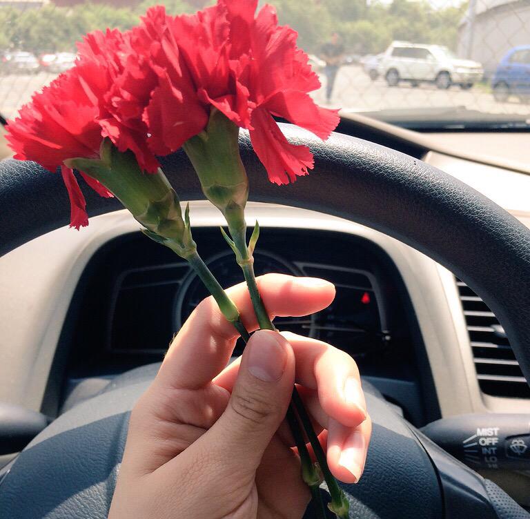 andreahdz19's tweet photo. Las encontré arriba de mi carro 🙊💕 http://t.co/j59YrRDkfL