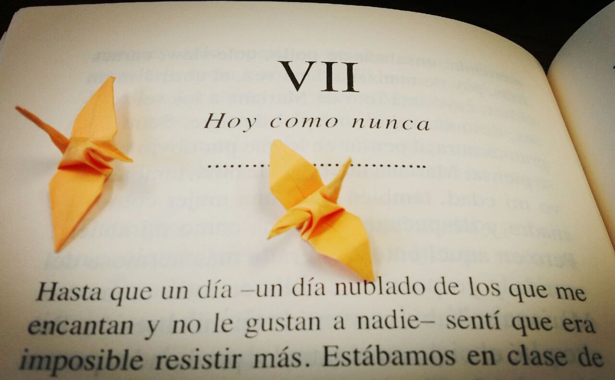 vianeycarengi tweet picture