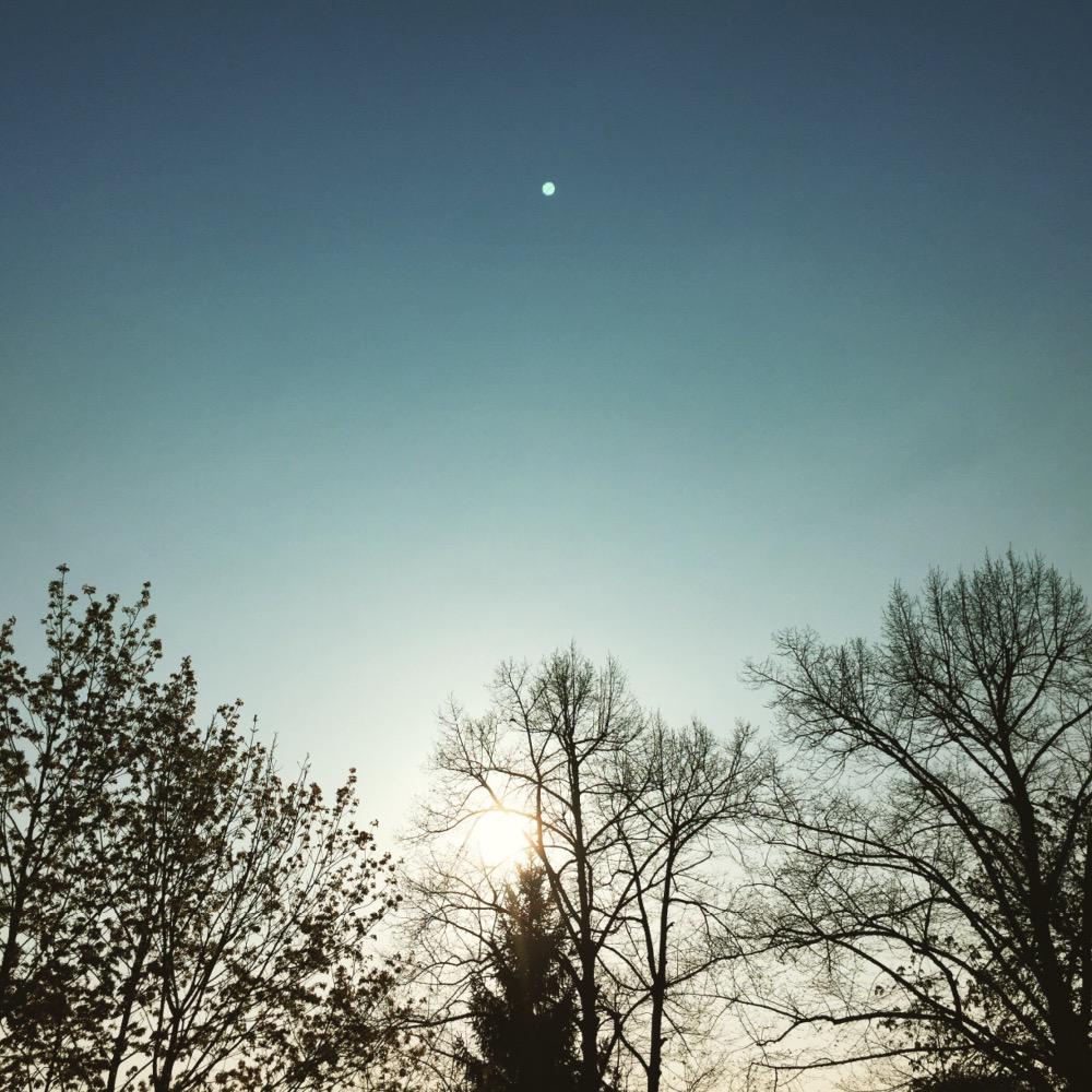 Berlin (@BerlinLol1) / Posts / X