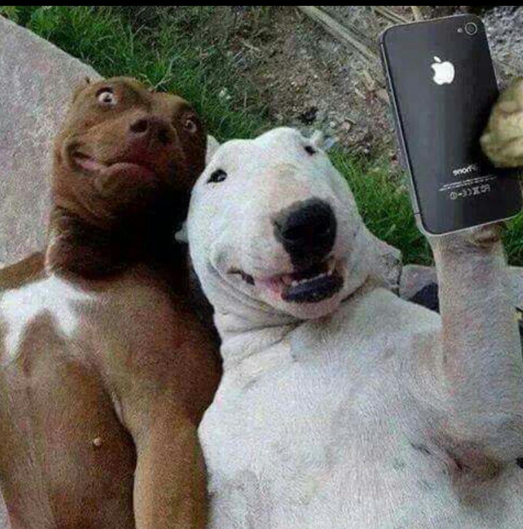 KXAdultShop's tweet photo. #SelfieTime http://t.co/swAfzgI34b