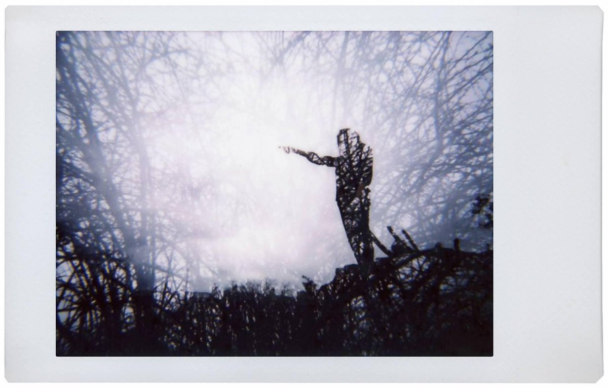 Lomography tweet media
