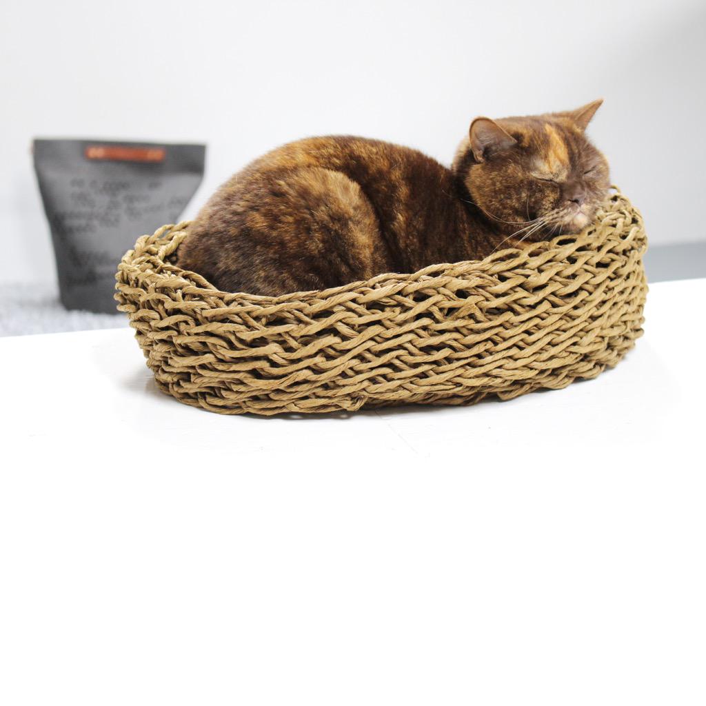 Snorhaar tweet media