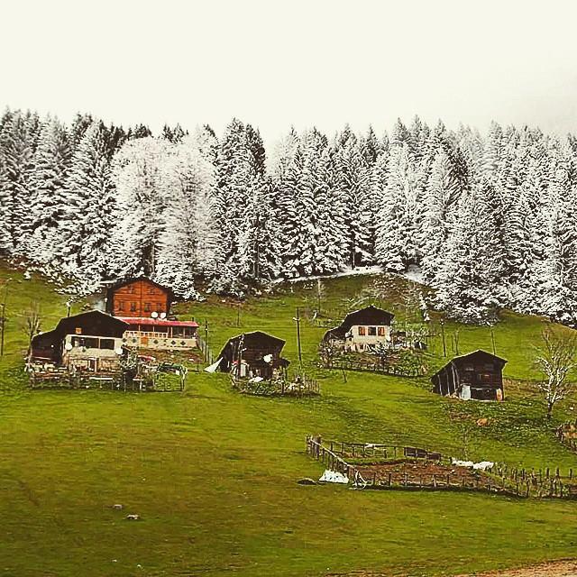 İbrahim Çağdaş (@cagdas_ibrahim) on Twitter photo 