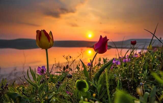 #علمتني_الحياة ...
أن أشفق على من أساء لي أو ظلمني...
لأنه سيقف عاجزا أمام تسويات الحياة