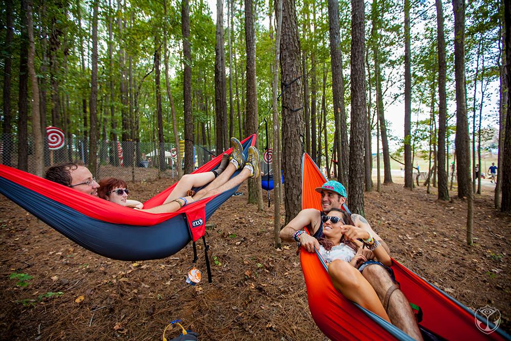TomorrowWorld's tweet photo. Did you hang out between the trees in Chattahoochee Hills? http://t.co/aCs4bkXDa4