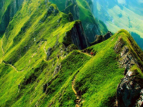 흔히 인내라하면 고통을 견디는 것이라 생각한다. 하지만 기쁨을 연장시키고 행복을 지속시키는 것도 인내다. 행복에 감사하면서 행복을 보다 오랫동안 누리는 능력 또한 인내인 것이다. -힘들땐 그냥 울어`