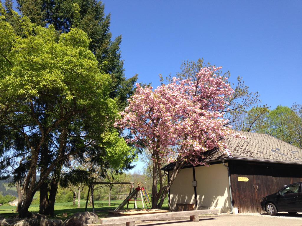 Geschäftliche Termine können traumhaft sein #Himmelreich