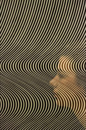 Happy Birthday Bridget Riley, 1931. One of the great retinal painters of all time. 
