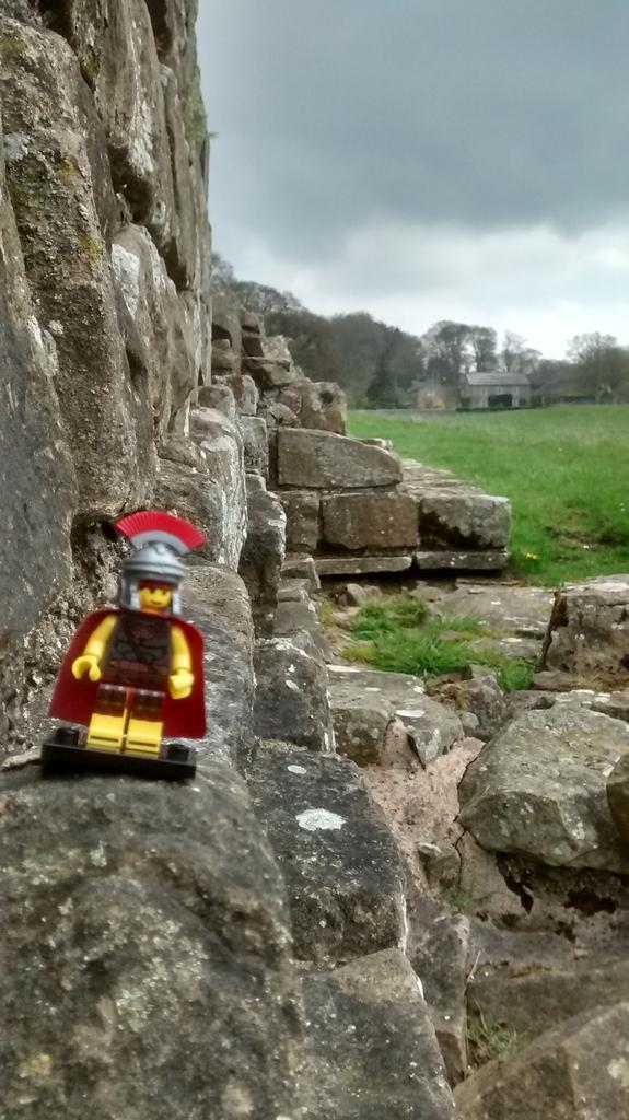 RAeliusVictor's tweet photo. Glad they changed the plan, saved me and the lads a load of work @EHHadriansWall #planetrees #narrowwall #broadwall http://t.co/I8Q8467AQP
