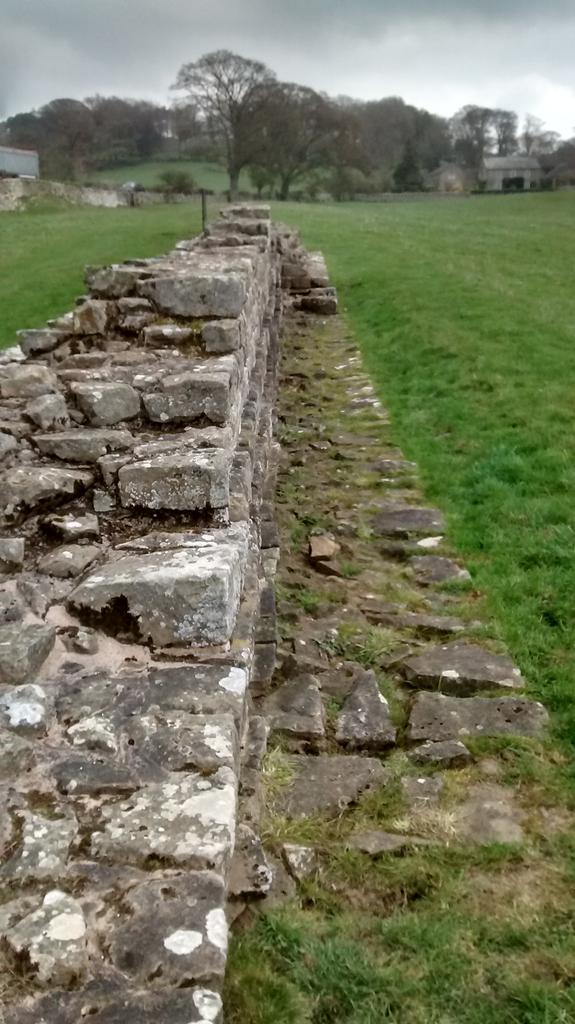RAeliusVictor's tweet photo. #narrowwall on top of #broadwall foundation @EHHadriansWall http://t.co/m7aHcSiSCA