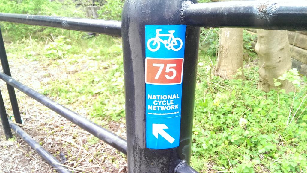 Trevor Thomson tweet media