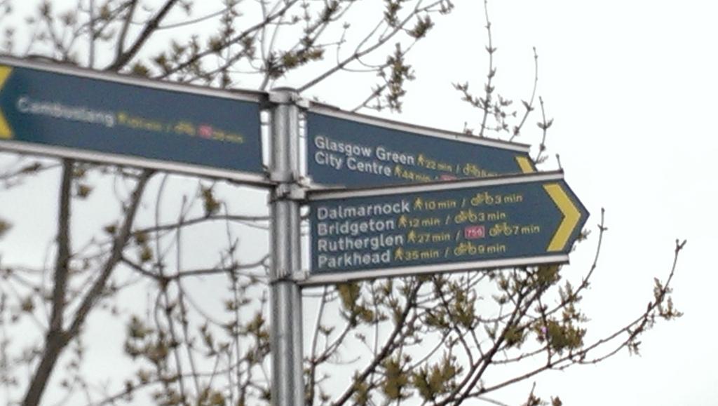 Trevor Thomson tweet media