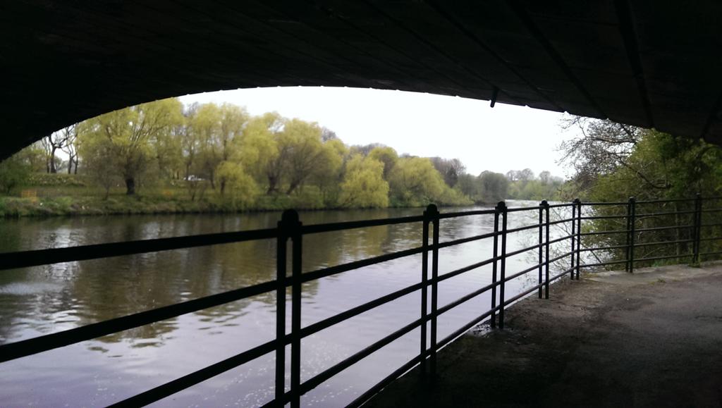 Trevor Thomson tweet media