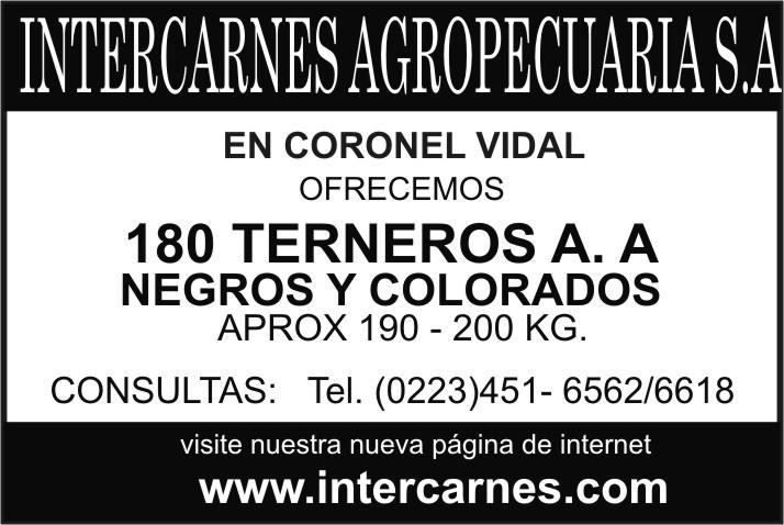 Intercarnes's tweet photo. Por asesoramiento comercial agropecuario llamanos al (0223) 451-6562 o por correo a info@intercarnes.com. http://t.co/j8sb3neet2