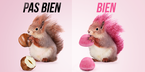TagadaOfficiel tweet picture