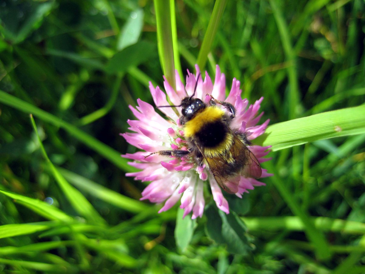 NorfolkTrails's tweet photo. Grab your camera & try out these top photography tips here>> http://t.co/dEmZKHUq6j
#NorfolkTrails #trailsphotocomp http://t.co/NEEav2PcXu