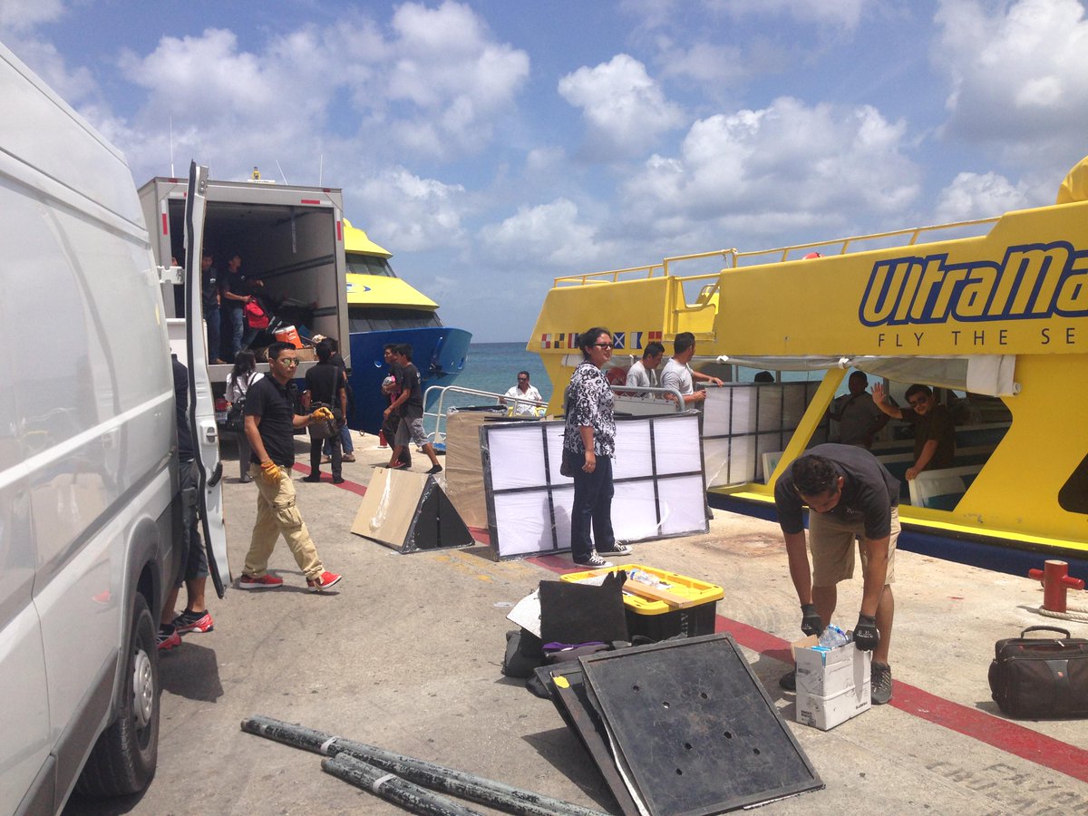 Limited Edition tweet media