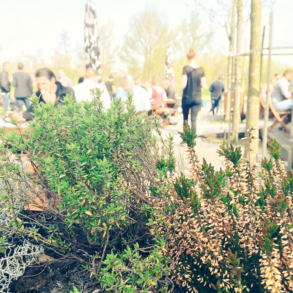 weareimd's tweet image. We'd love to brew our own beer with @MyMiniBrew! Want a taste? RT! Secret ingredient: fresh thyme = #GreatTaste