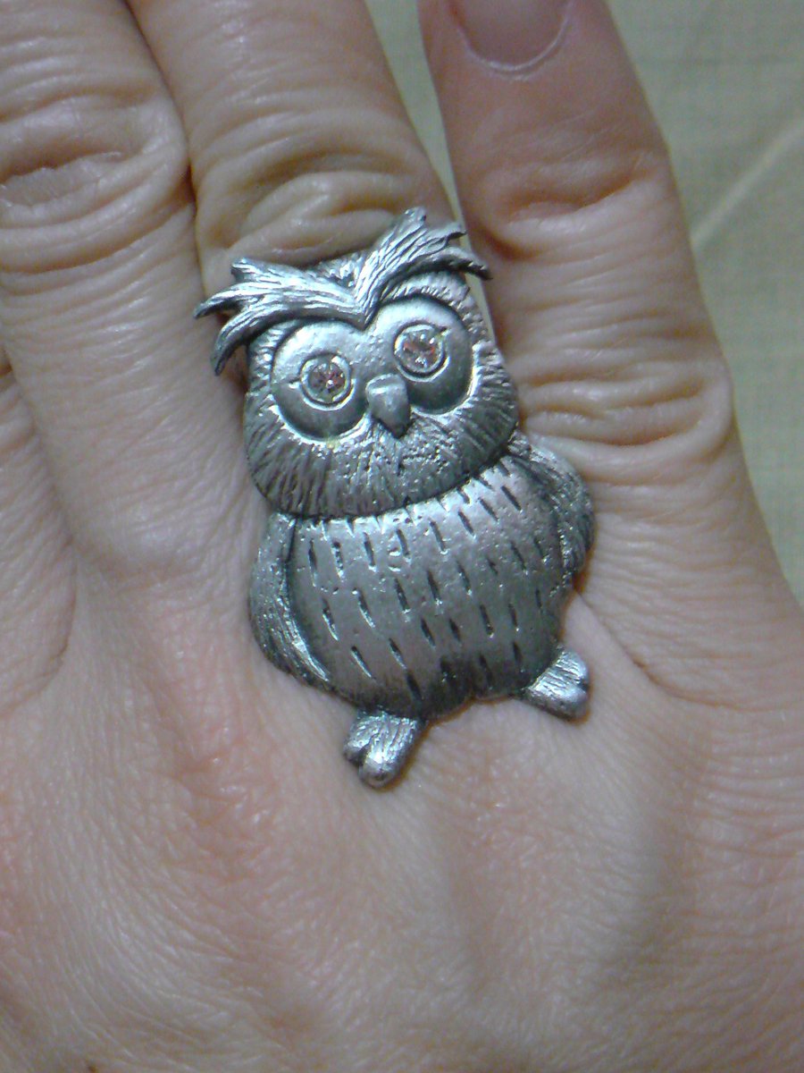 そんたろうさん Auf Twitter 久々に ラバーキャスト廣田 の廣田武政先生にお会いできました 今回も素敵な作品が盛り沢山で まるで美術展 写真はフクロウのリングです なんと特大 指にフィットして付け心地が良いです 千葉三越 北海道物産展 27日