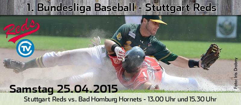 Stuttgart Reds tweet media